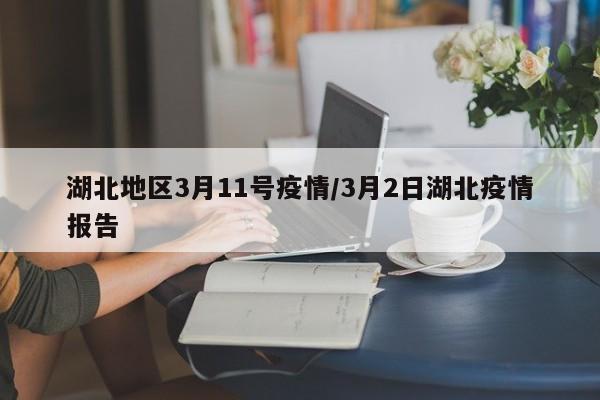 湖北地区3月11号疫情/3月2日湖北疫情报告