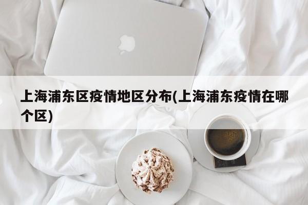 上海浦东区疫情地区分布(上海浦东疫情在哪个区)